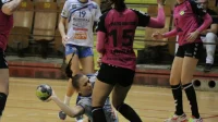 Labudice dobile, Radnik finalista