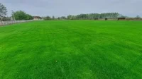 Semberci kreću ovog vikenda, Područna liga RS -  Semberija