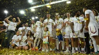 Bosna je šampion, Prvenstvo BiH - utakmice za titulu